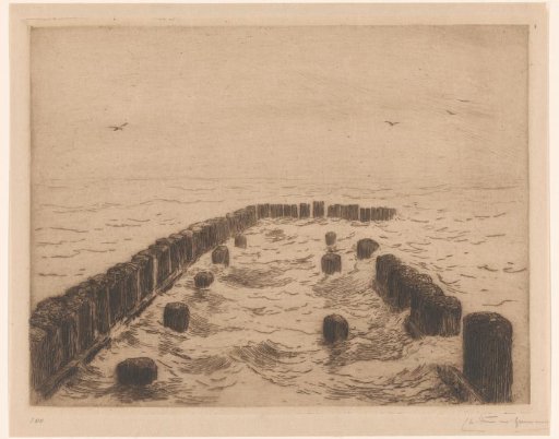 Pile heads at high tide