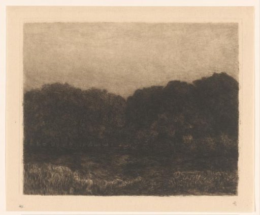 Wooded view near Kleve at evening
