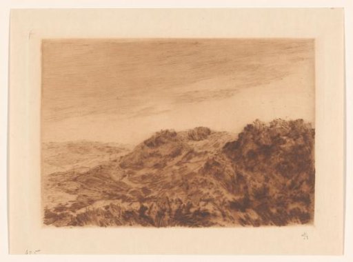 Dune landscape near The Hague