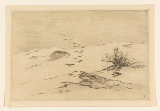 Birds above a dune landscape