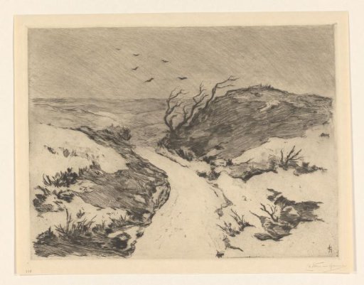Path through snow-covered dune landscape