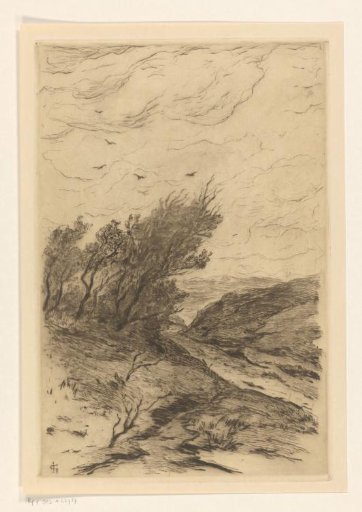 Autumn day in the dunes, with stormy weather