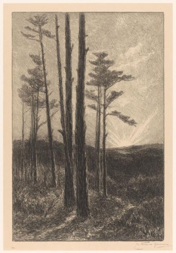 Sunset in the Royal Forest near Cleves