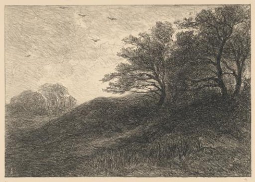 Dunes near Haarlem
