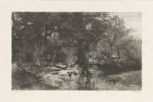 Trees Along the Water
