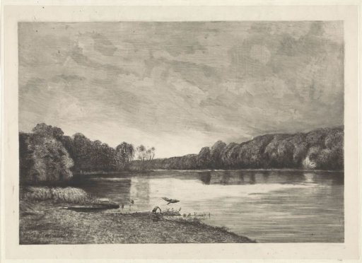 Pond with Waterfowl