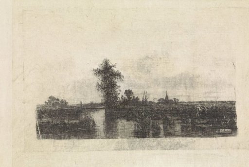 Polder landscape