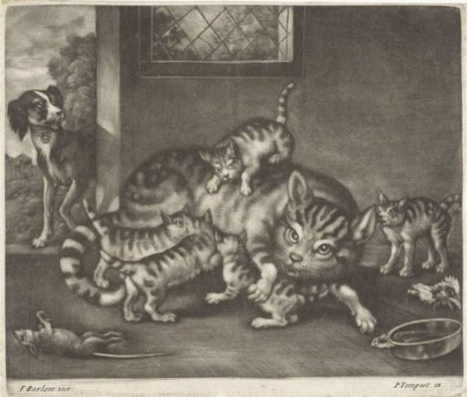 Cat with Five Kittens