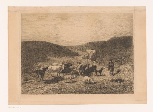 Shepherd with sheep and cows