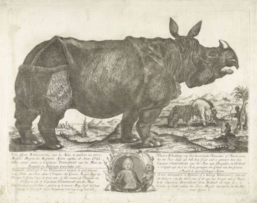 The Rhinoceros Clara, 1741