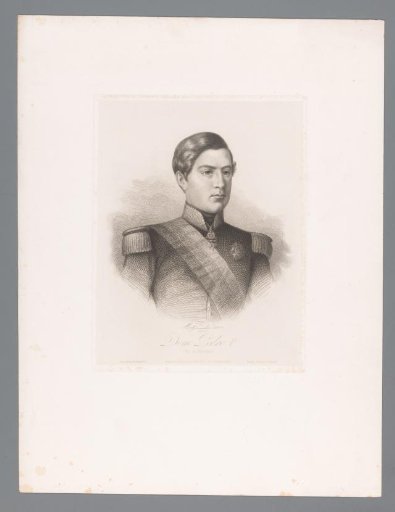 Portrait of Peter V of Portugal
