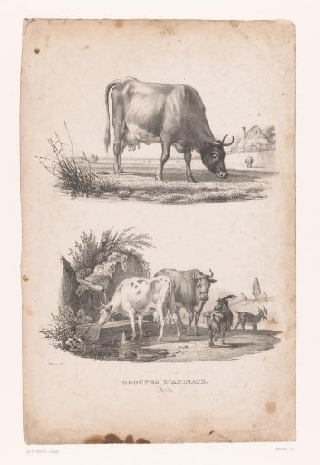 Cow and shepherd with cows and goats
