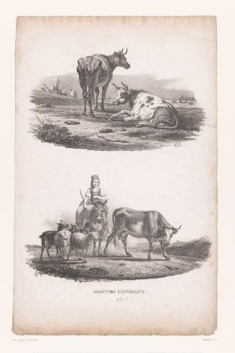 Two cows and a shepherdess on a donkey with cattle