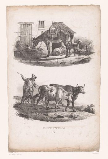 Horse with two goats and a shepherd with two bulls