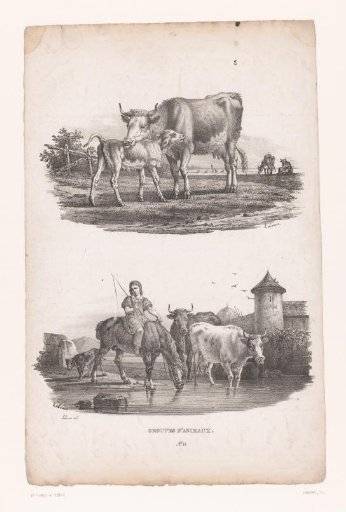 Cow with calf and a shepherd boy with cows on horseback