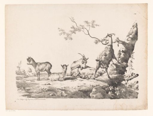 Goats with kids in a landscape near a tree