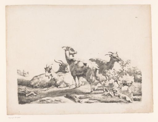 Four goats in a landscape