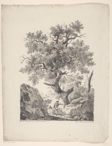 Artist sitting under an oak tree