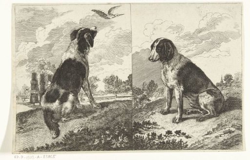 Two Sitting Dogs