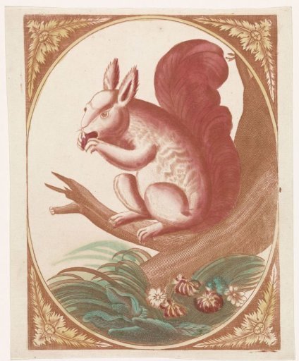 Squirrel on a tree branch
