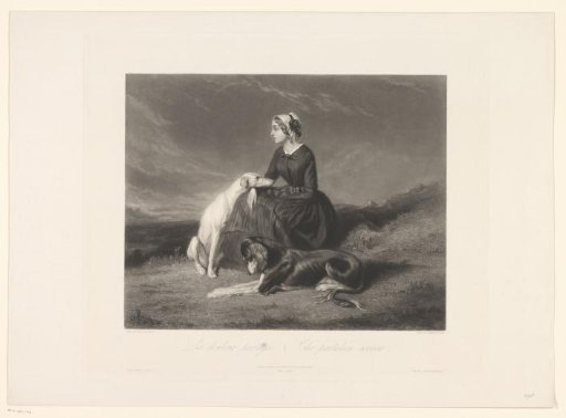 Young woman with two dogs, seated in a landscape