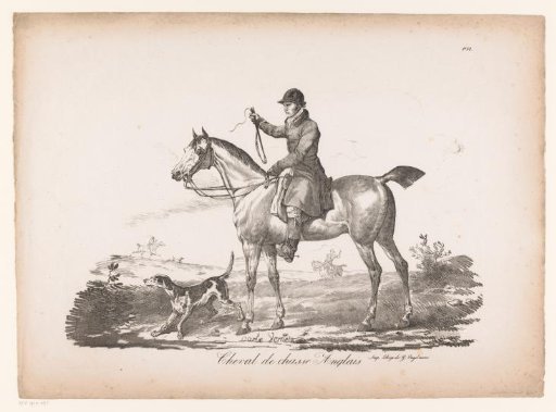 Rider on an English hunting horse