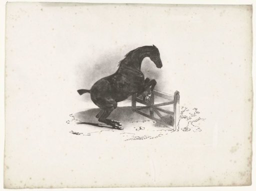 Horse jumping over a fence