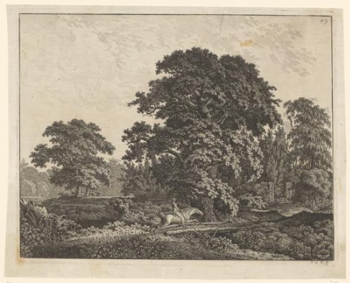 Wooded landscape with a rider