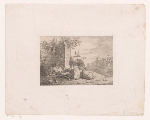 Goat and three shorn sheep beside a stone wall