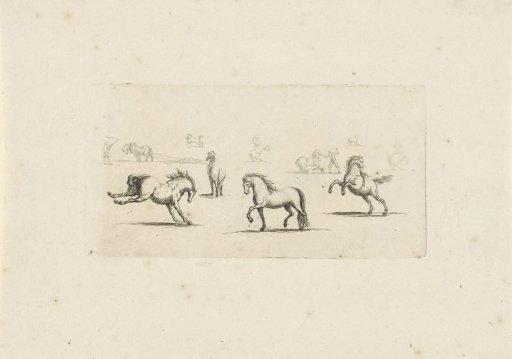 Study sheet with horses, one of which is rearing