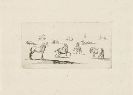 Study sheet with horses, three of which are rolling