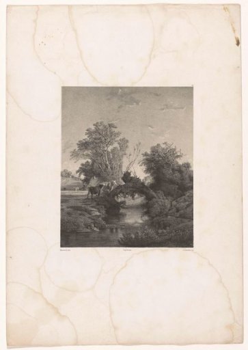 Norman landscape with cows and intertwined pollarded willows over a stream