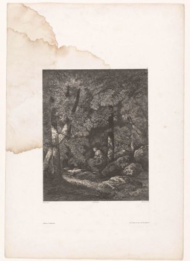 Forest view with hunter and hunting dogs