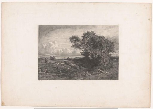 Hilly landscape with tree and pond