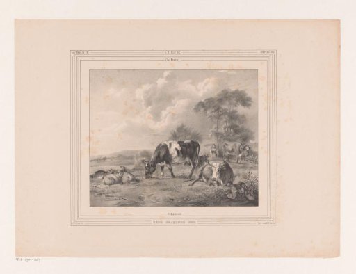 Grazing Cow