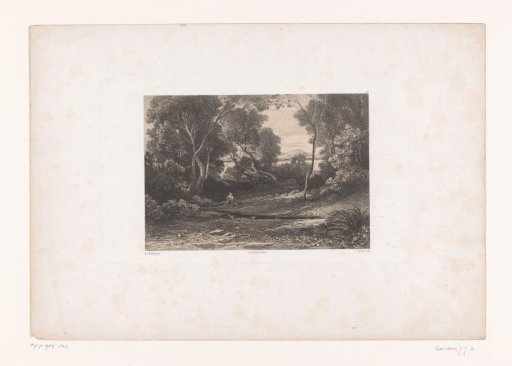 Woman in a mountainous landscape by a forest stream