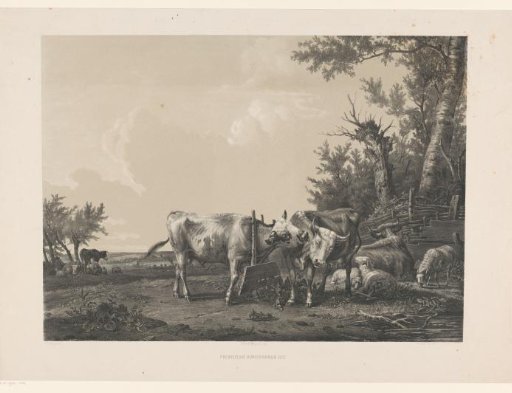 Two cows and cattle in a landscape