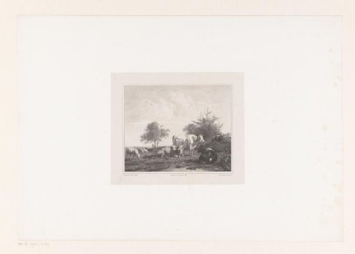 Landscape with cattle