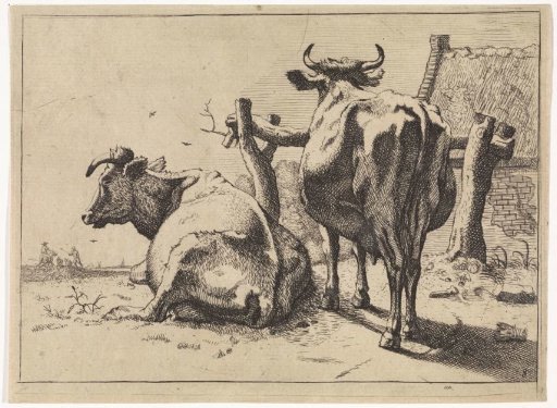 Two cows seen from behind