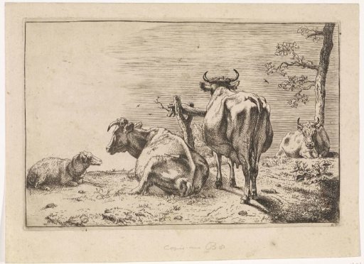 Two cows seen from behind