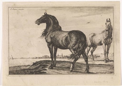 Neighing horse