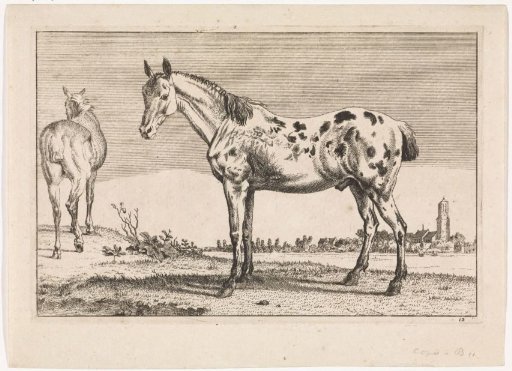 The docked horse