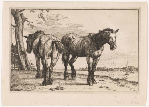 Two plough horses