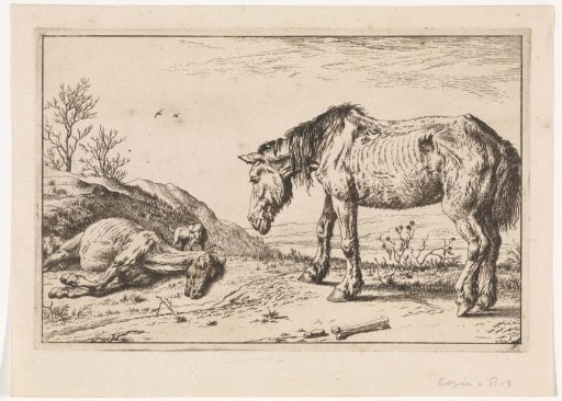 The dying horse