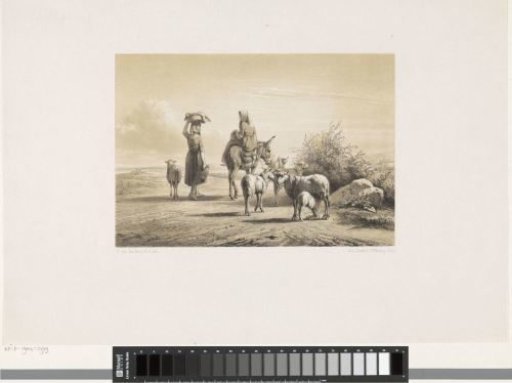 Two women and their flock