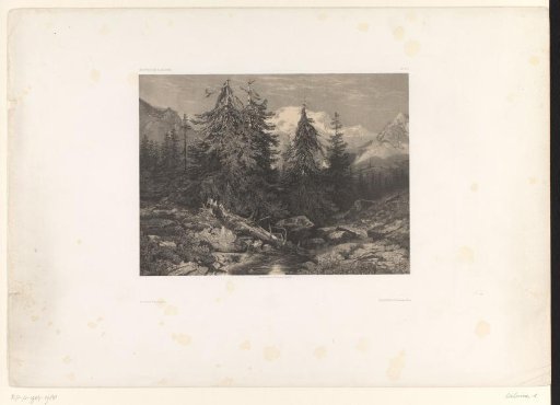 Mountain landscape with conifers, a stream and a fallen tree