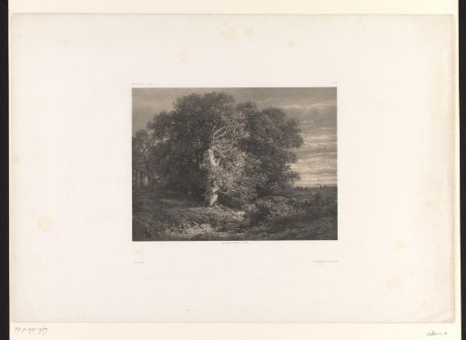 Landscape with an oak by a stream