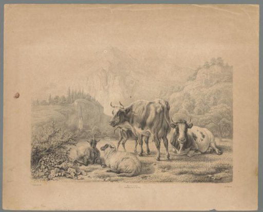 Mountain landscape with cattle