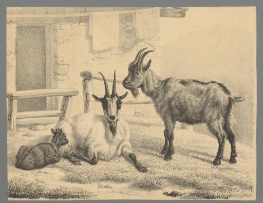 Two goats with a kid by a farmhouse