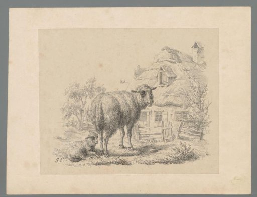 Sheep and lamb in front of a farm